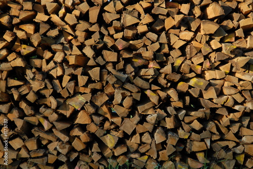 holz