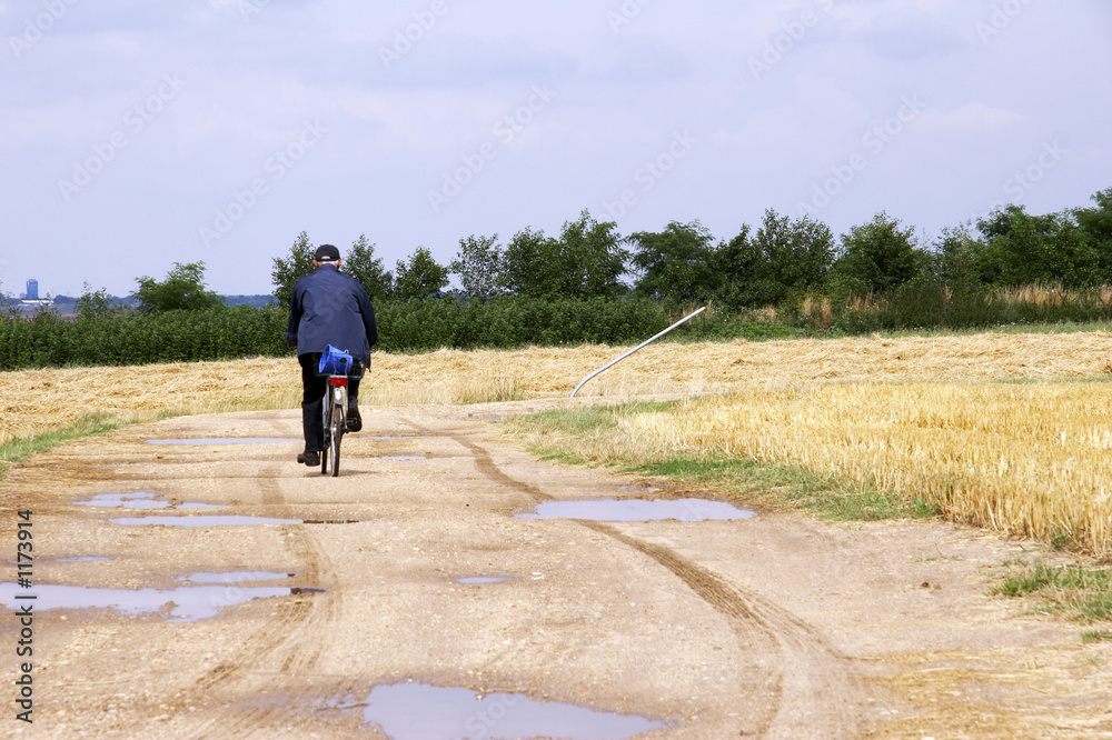 Obraz premium radfahrer auf einem feldweg