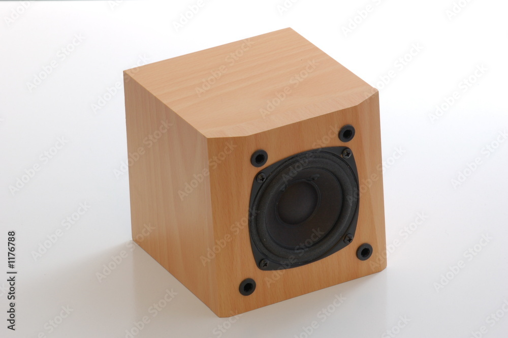 Obraz premium speaker