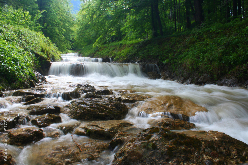 les cascades