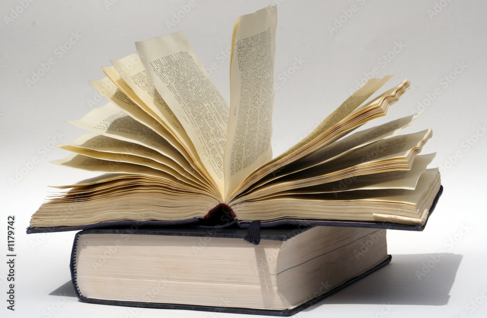 Fototapeta premium open book isolated