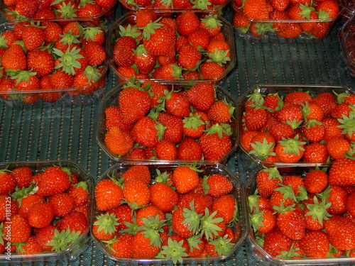 fraises en barquettes photo