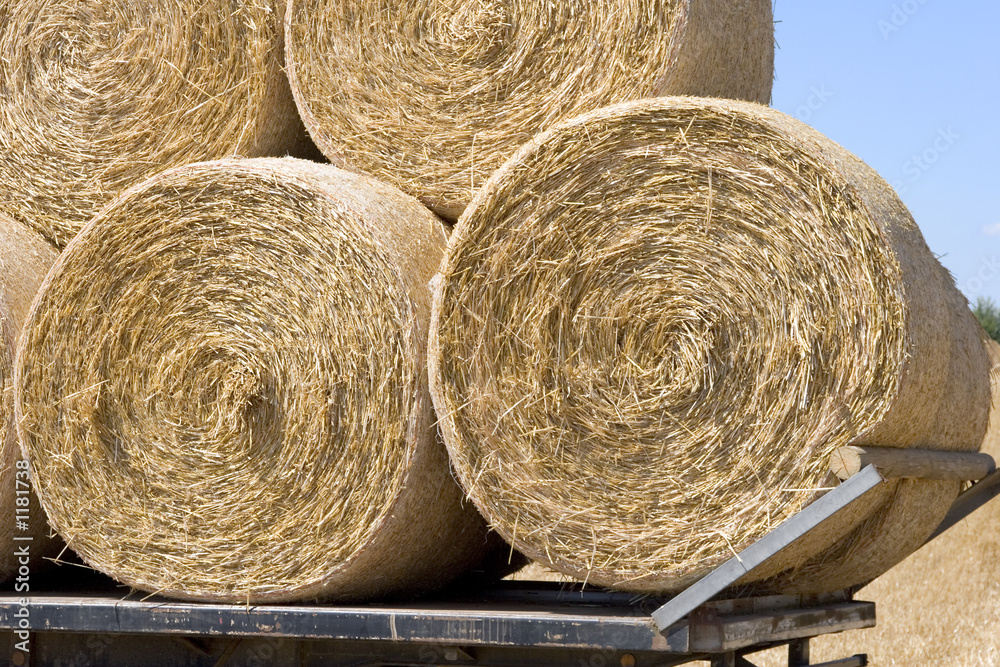 strohballen bereit zum abtransport strohballen bereit zum abtransport