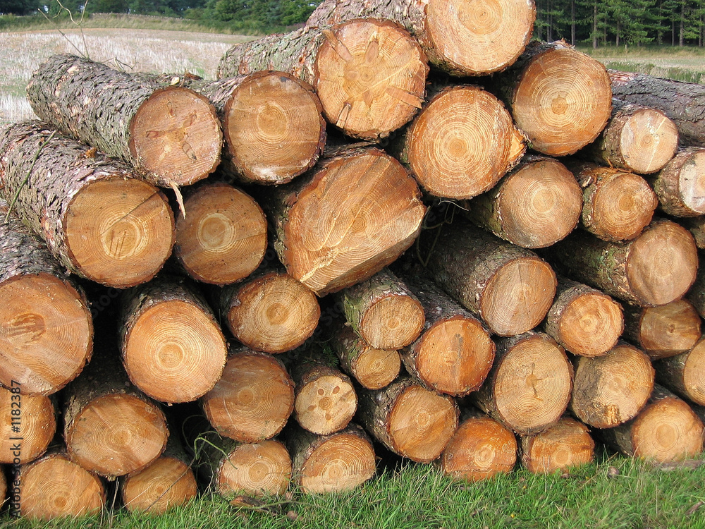 logs2