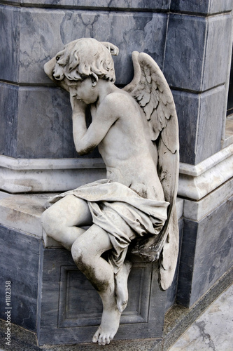 sleeping angel