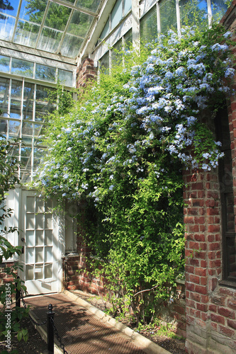 greenhouse wall