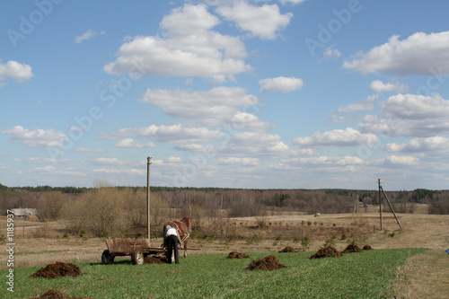 rural lanscape