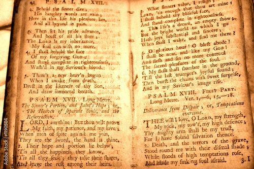 bible parchment