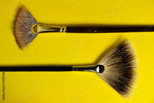 fan brushes