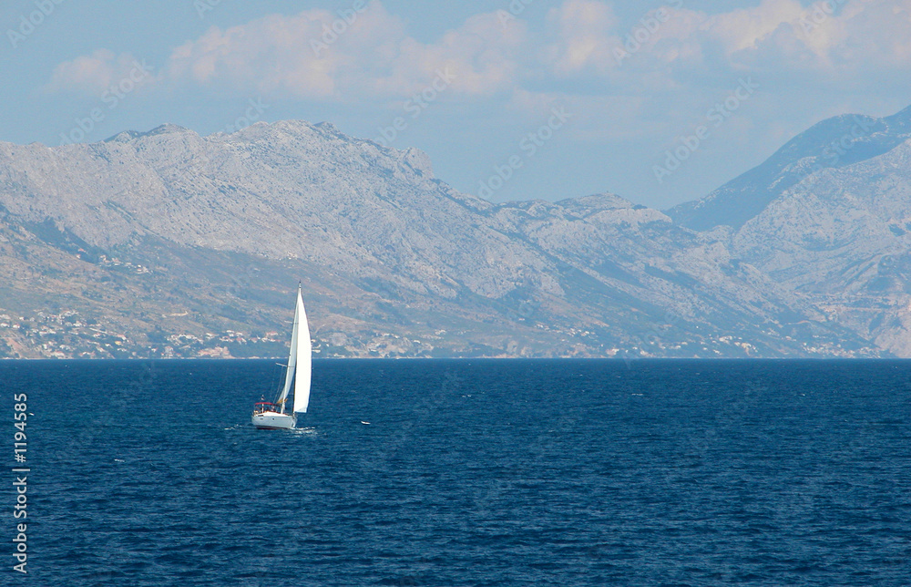 Naklejka premium sailing boat