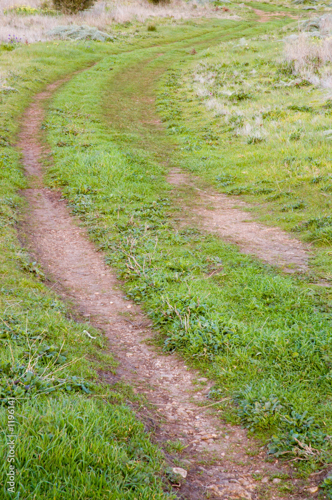 hillside track hillside track
