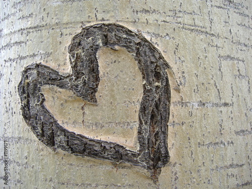 coeur de bois
