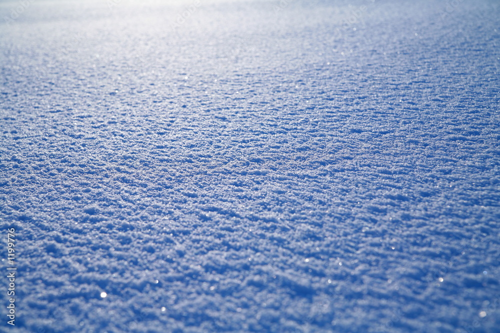 snow surface snow surface