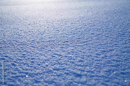 snow surface