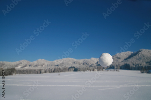 snowball © flucas