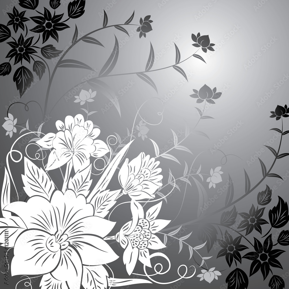 Fototapeta premium floral background, elements for design