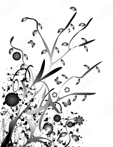 flower illustration