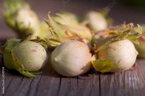 hazel nut (filbert) close-up