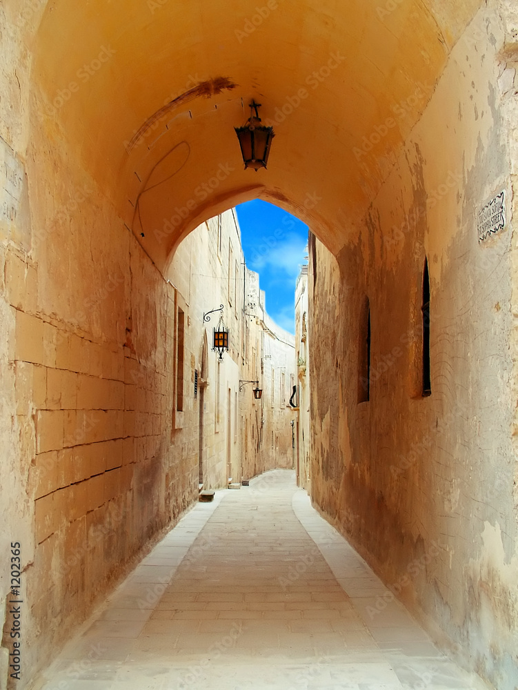 Fototapeta premium archway