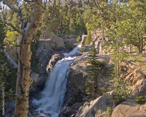 alberta falls in the early morning