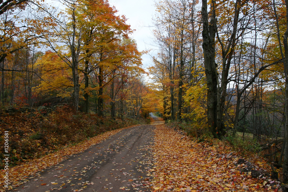 road to autumn