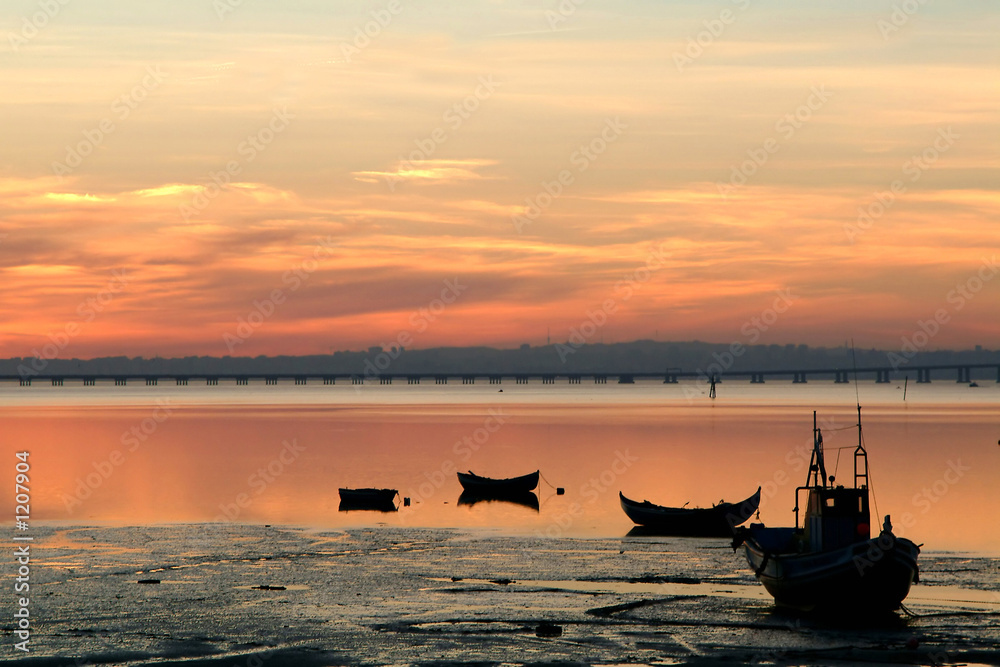 boats of fish at sunset