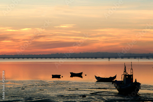 boats of fish at sunset © JoLin