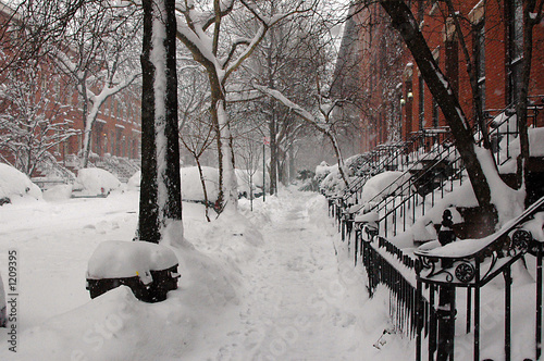 snowy brooklyn
