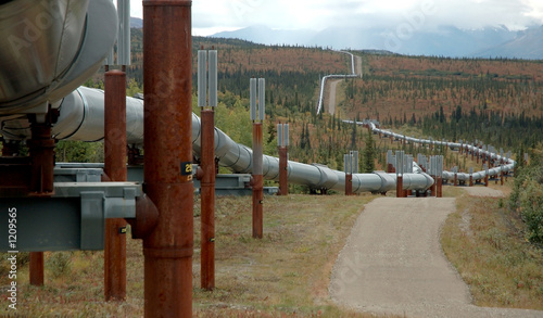 trans-alaska oil pipeline photo