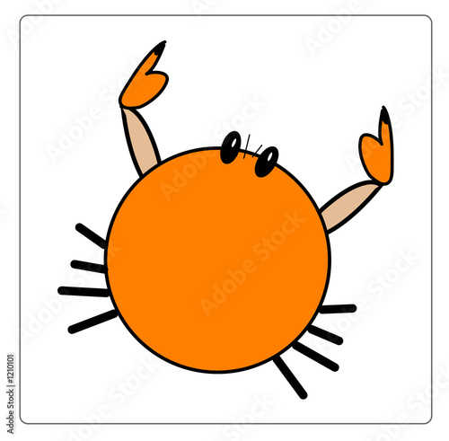 animal illustration series: pig