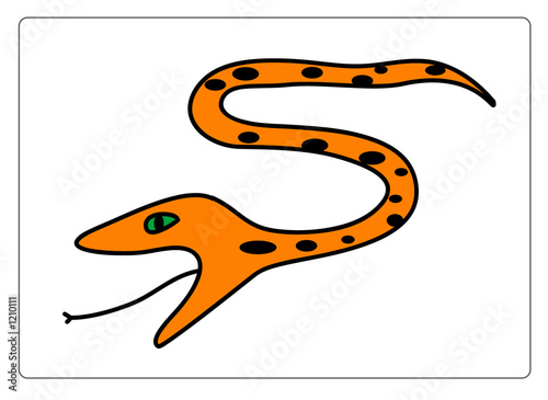 animal illustration series: snake
