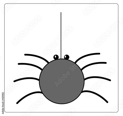animal illustration series: spider
