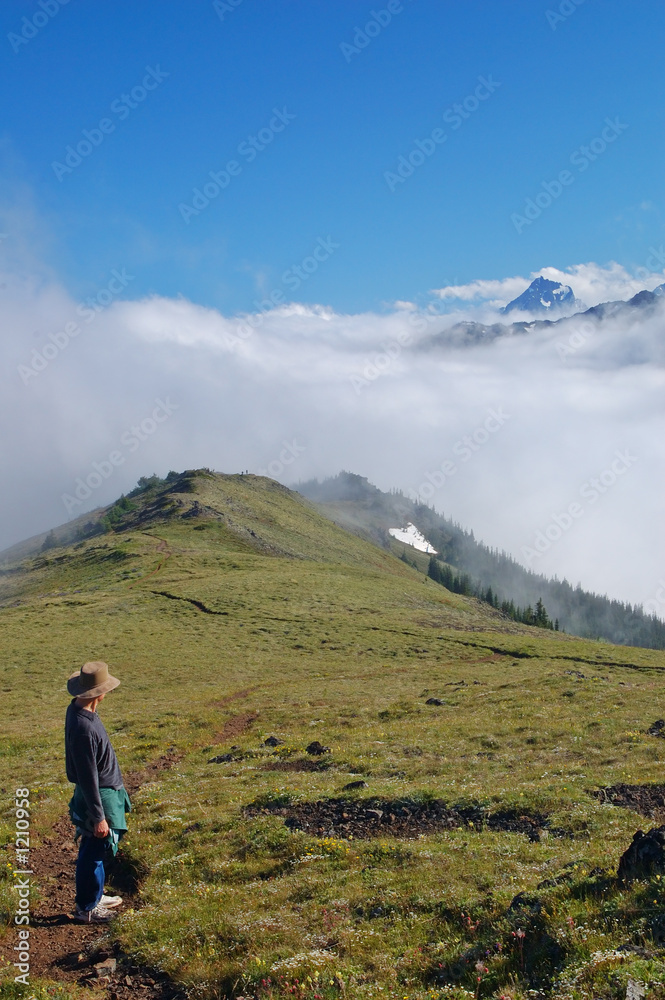 hiking trail in the mountains