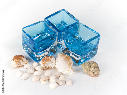 shell and glass