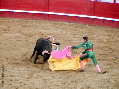 bull fighting 2