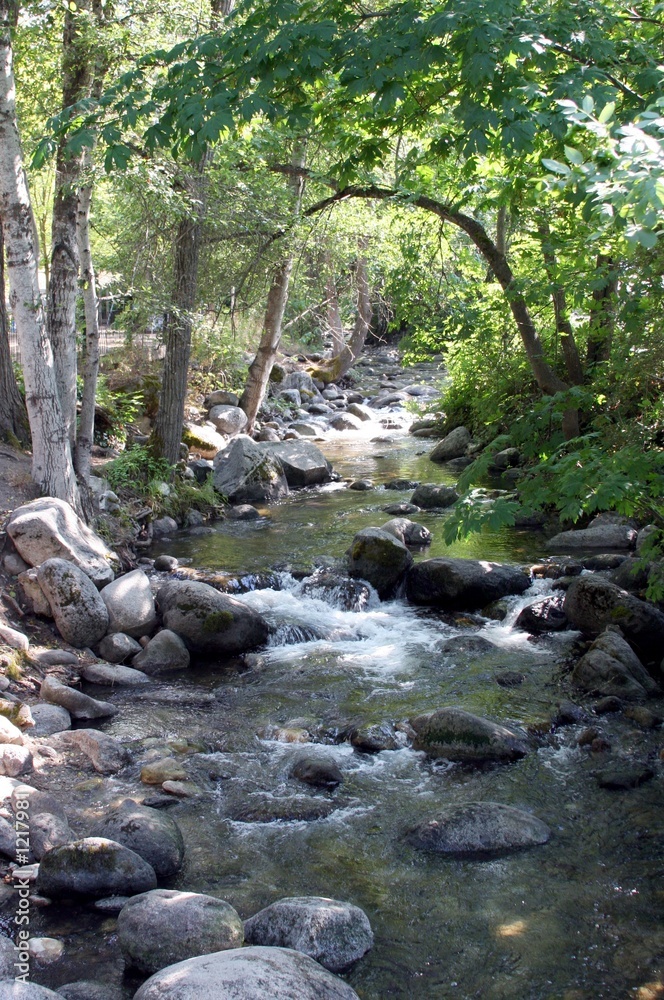 stream scenic stream scenic