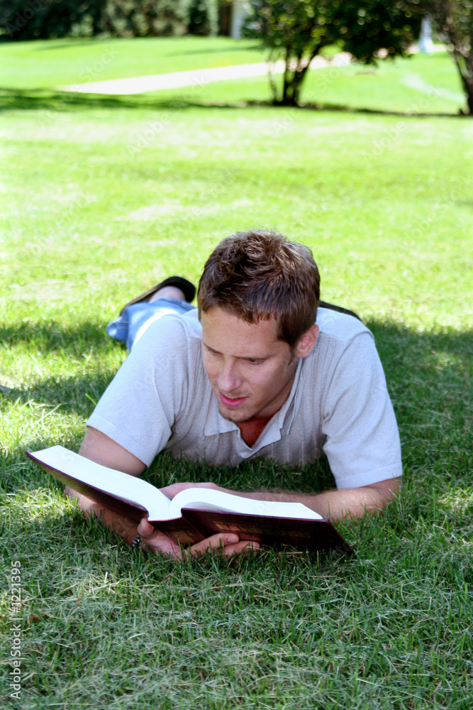 reading in grass reading in grass