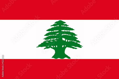 flag of lebanon photo