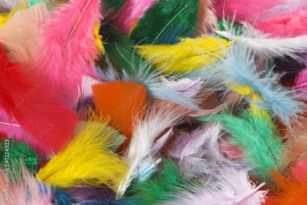 feathers feathers