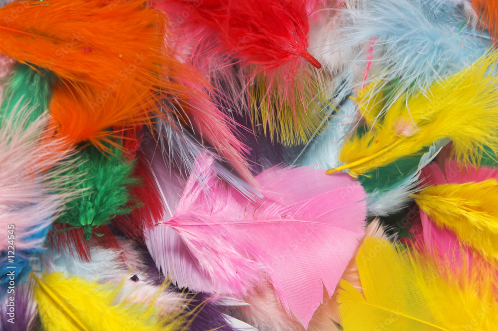 feathers feathers