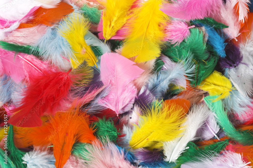 feathers feathers