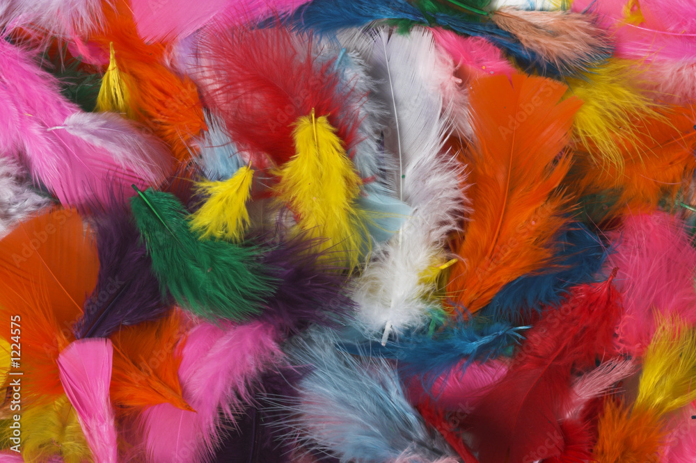 feathers feathers