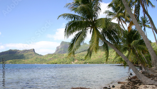 beach view