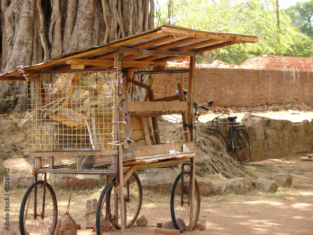 Fototapeta premium wagon