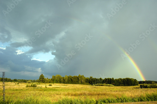 rainbow in the field © Denis Tabler