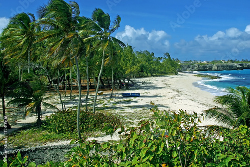 Картината върху платно img_9814 sam lords beach, barbados