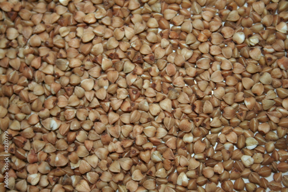 buckwheat seads
