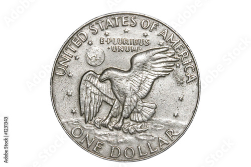 silver dollar