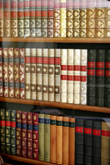 Wandcirkels Bibliotheek Klassieke leeszaal met houten lambrisering  © Christophe Fouquin
