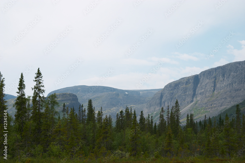 tundra mountains